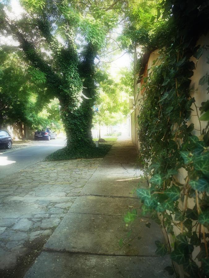 Centar Ξενοδοχείο Σουμπότικα Εξωτερικό φωτογραφία