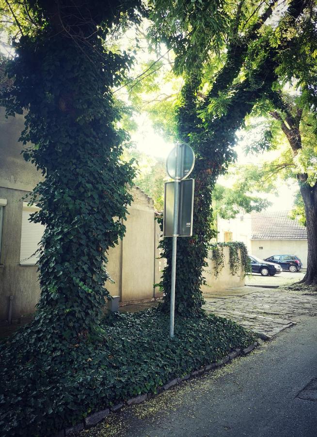 Centar Ξενοδοχείο Σουμπότικα Εξωτερικό φωτογραφία